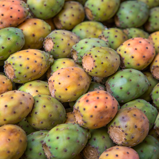 Organic Prickly Pear Seed Oil - 15ml