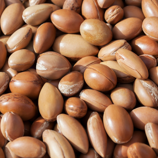 Organic Moroccan Argan Oil – Liquid Gold for Skin & Hair