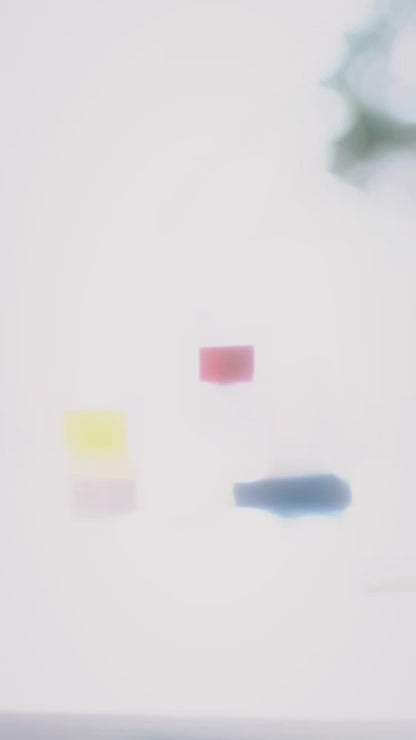 Nila Bar Soap | Moroccan Gentle Cleansing Soap with Argan Oil